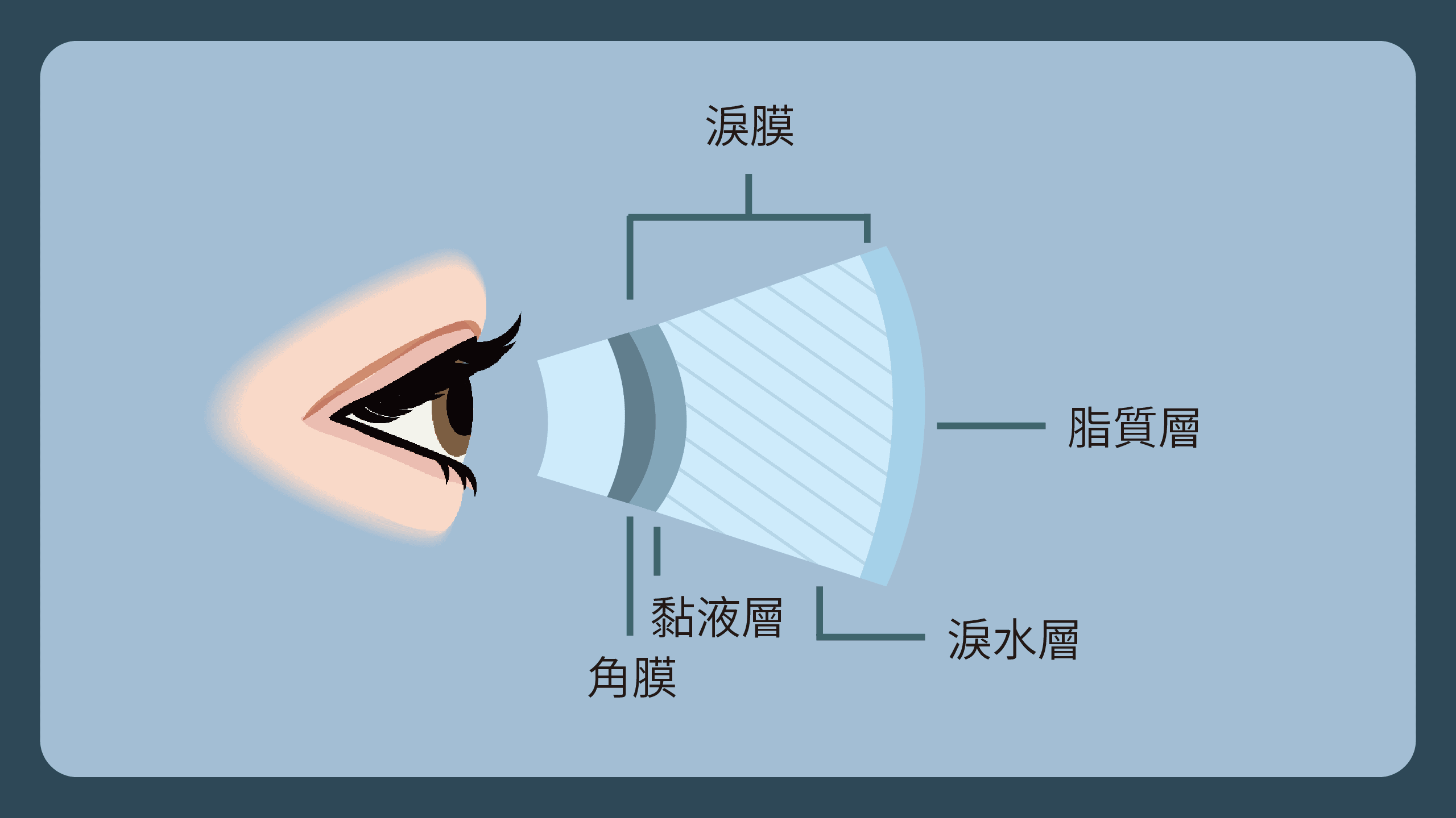 網站用_衛教百科-03.png