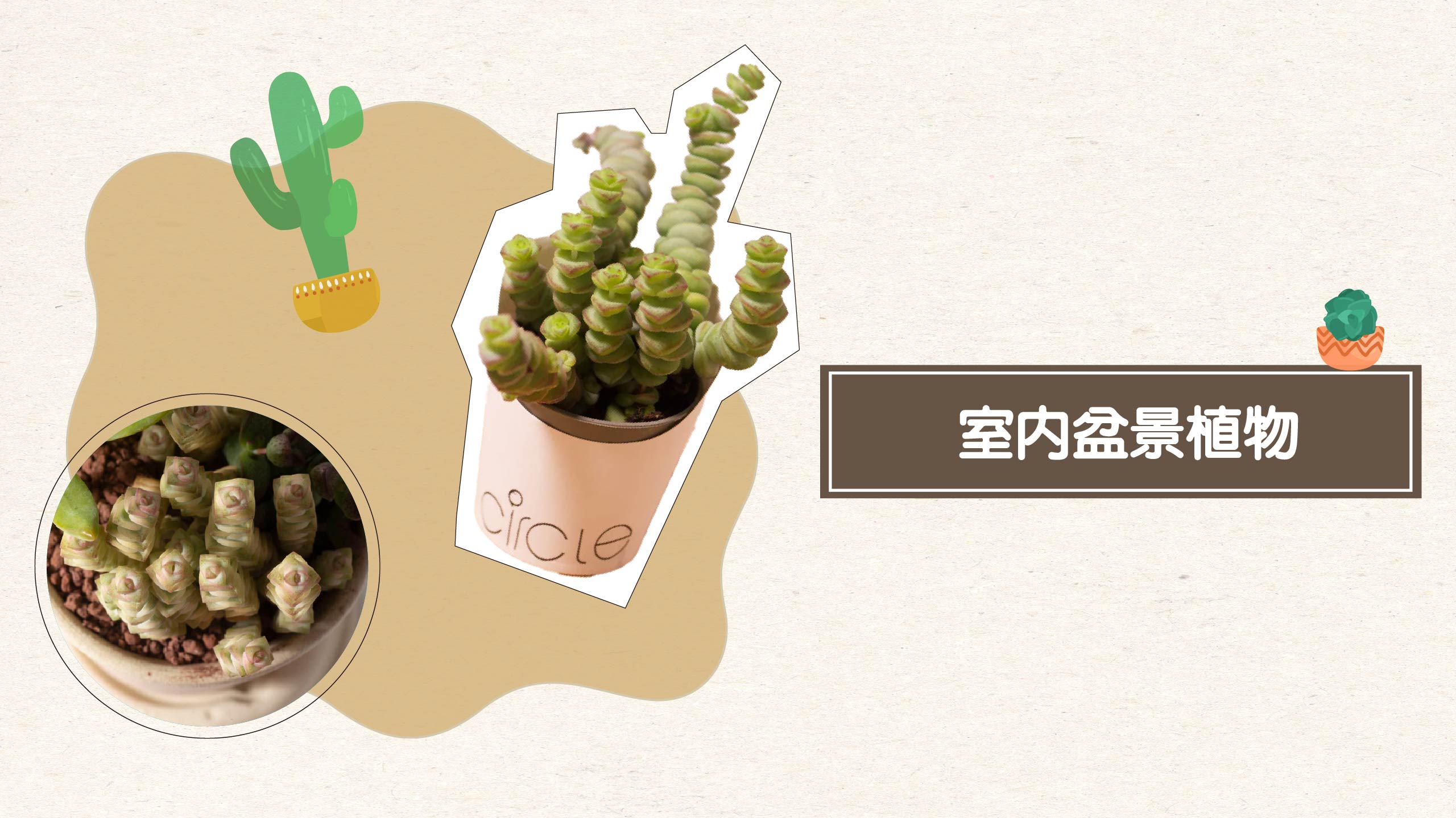 網站用_年末招財小物-03.jpg